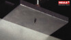 thumbnail-dl2