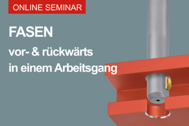 Online-Seminar-fasen